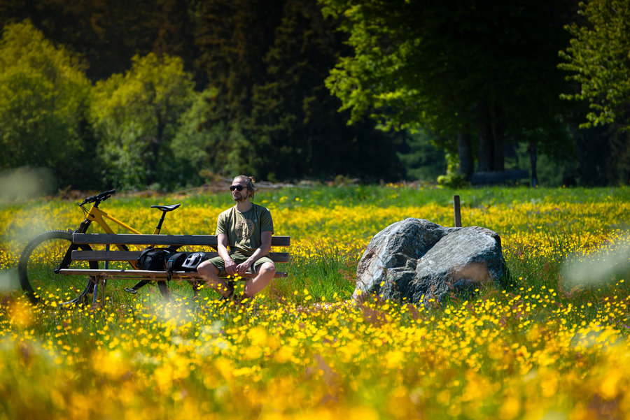 Biking Bild 8